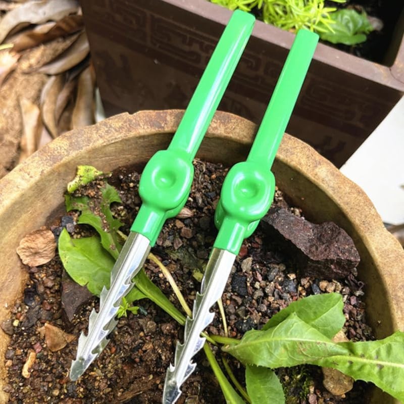 CAXUSD Gardening Tweezers Lightweight Portable Planting Tool for Succulents and Bonsai Precise Weed Removal and Home Garden Care Tool - Image 3